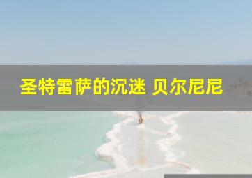 圣特雷萨的沉迷 贝尔尼尼